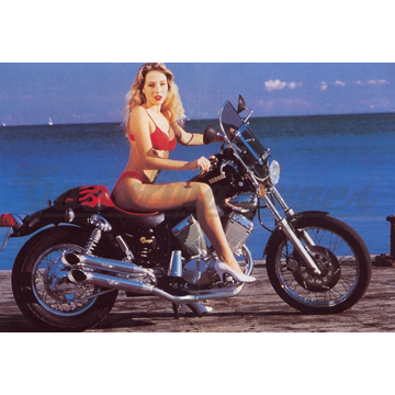 Panela de escape Marving para Yamaha XV 535 Virago (conj.)