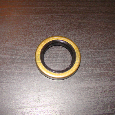 Vedante de motor de 24x36x7mm SKF